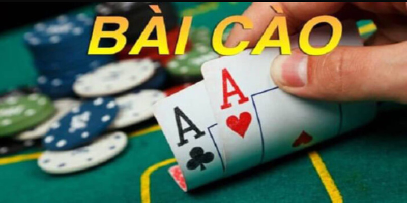 Tìm hiểu về bài cào